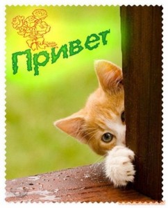 Привет