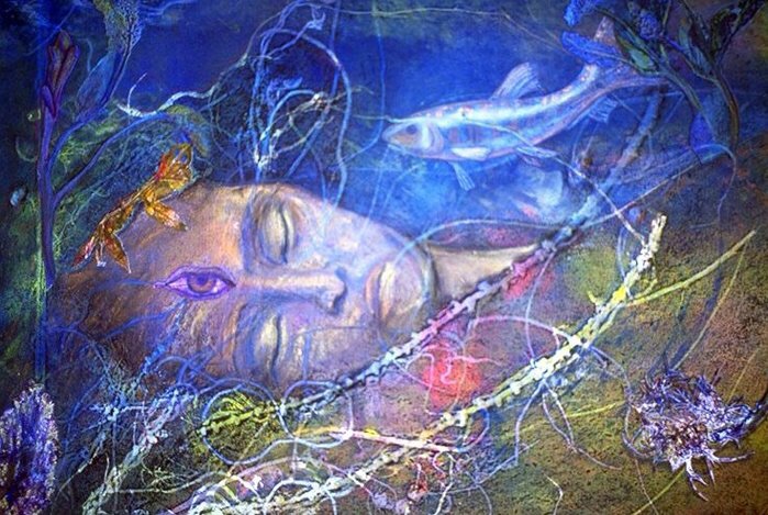 Nidra