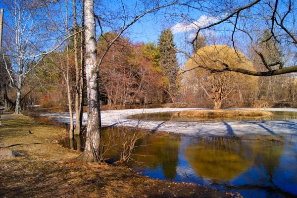 Природа и человек одно целое.
