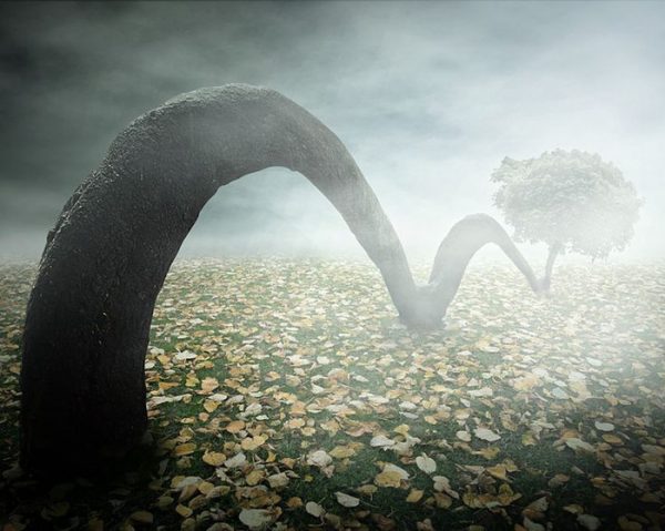 Магия аутотренинга