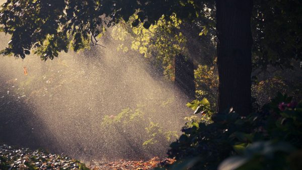 Аутотренинг для уверенности в себе