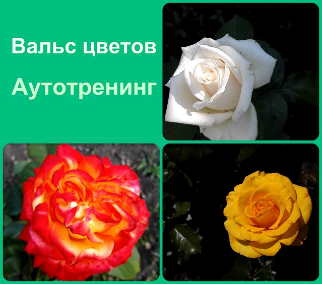 Аутотренинг  "Вальс цветов" 