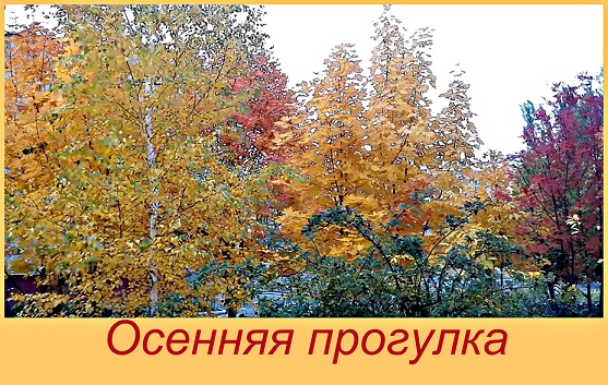 Осень. прогулка. релаксация.