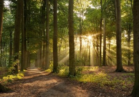 На пути к развитию