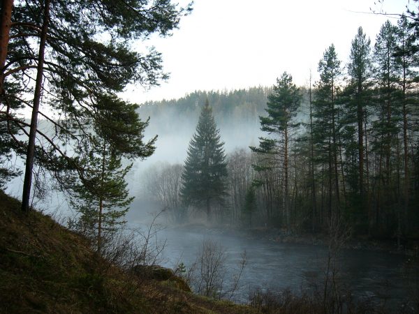 АТ – не всегда легко, но всегда нужно
