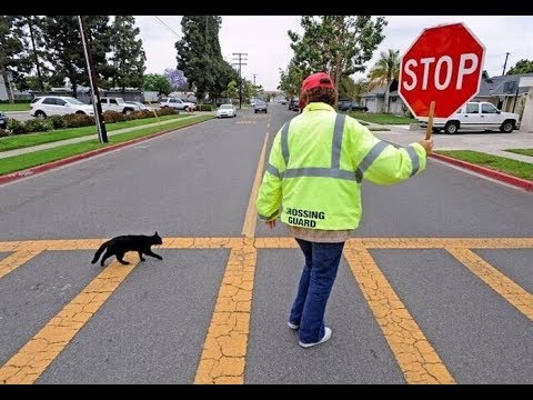 Успех - это реальность, которую вы себе когда-то навязали