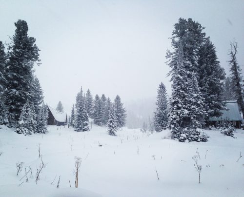 Мой осознанный путь к себе