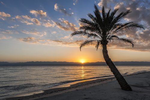 АТ помог мне сохранить мир в семье.
