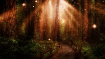 АТ вылечил мою душу