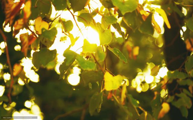 Мой опыт в АТ