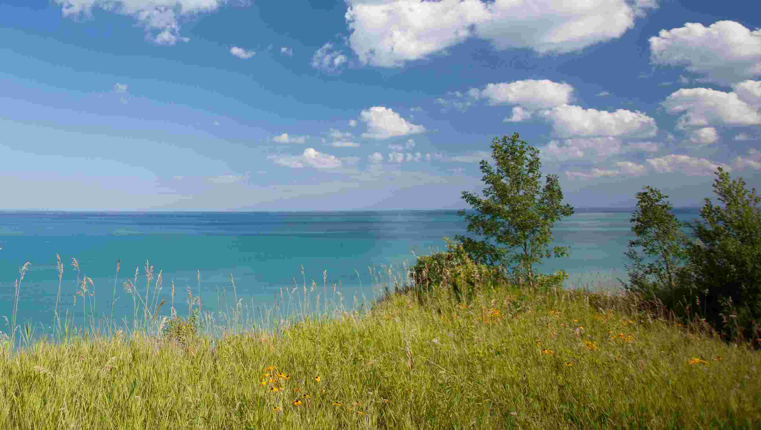 Целительное самовнушение