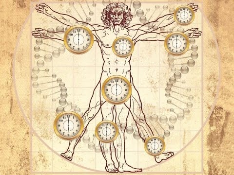 Как самозаводящиеся часы!