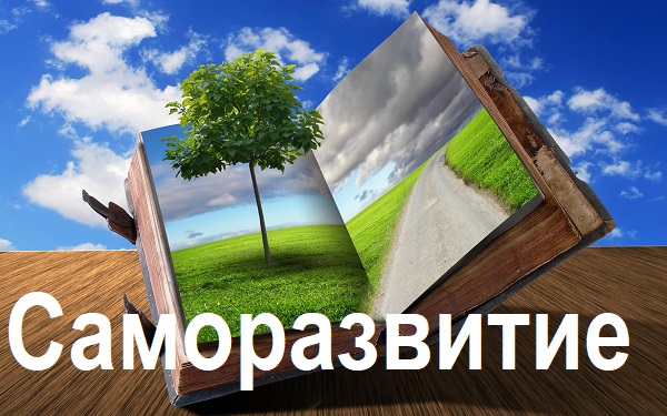 саморазвитие