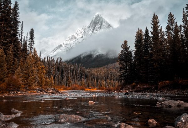 АТ как способ ментальной гигиены