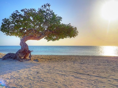 Мой путь к АТ и медитации