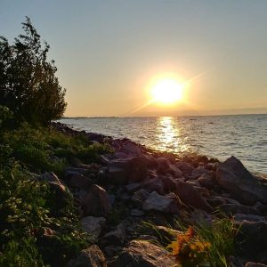 Впечатления от АТ