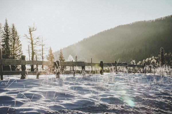 Необходимо для мужчин!