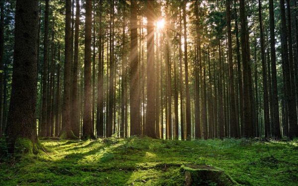 Мой опыт применения АТ