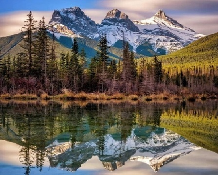 Мой первый шаг