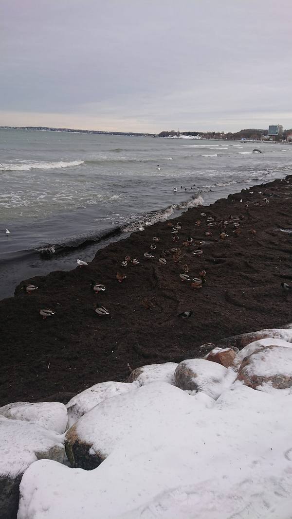 Метод сканирования.