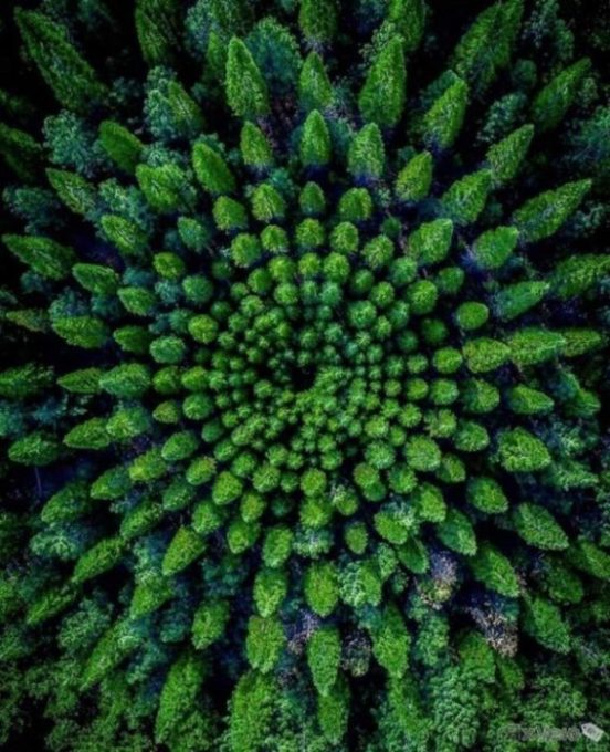 Мой опыт использования АТ в саморазвитии