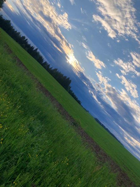 Нужные обстоятельства в нужное время