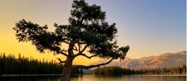 Как я выбирался из ямы