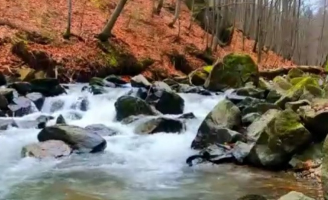 Как убрать стресс, улучшить настроение и снять тревогу