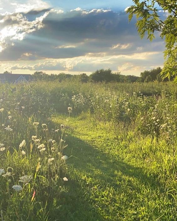 Как я стала лучшей версией себя