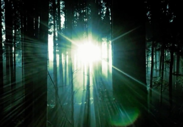 Я справилась с разводом