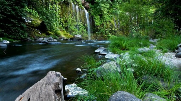 Когда не знаешь как поступить — погрузись в себя.