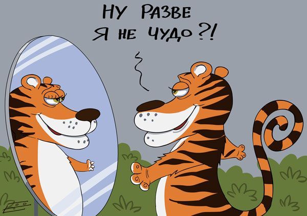 Стать лучшей версией себя возможно!