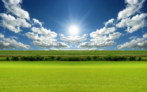 Как начал, как учился и какие из всего этого результаты