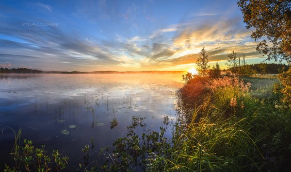 Мой путь в самовнушение