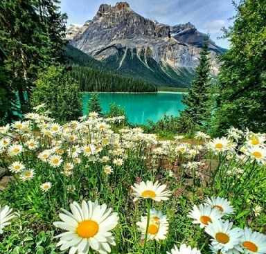 Мои эффективные техники в аутотренинге