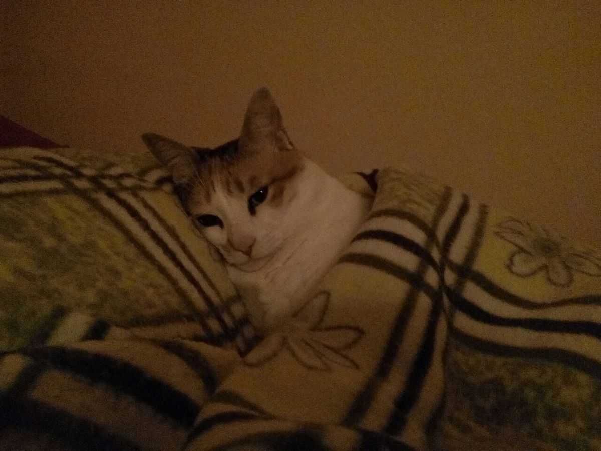 Аутотренинг, который вернул мне спокойствие